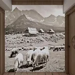 Jankes Zakopane